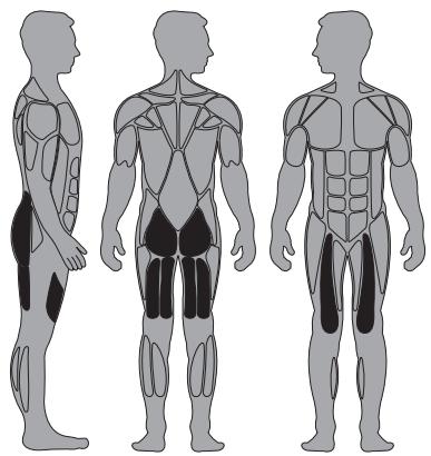 CYBEX INTERNATIONAL 13041 LEG PRESS - Instructions - 1