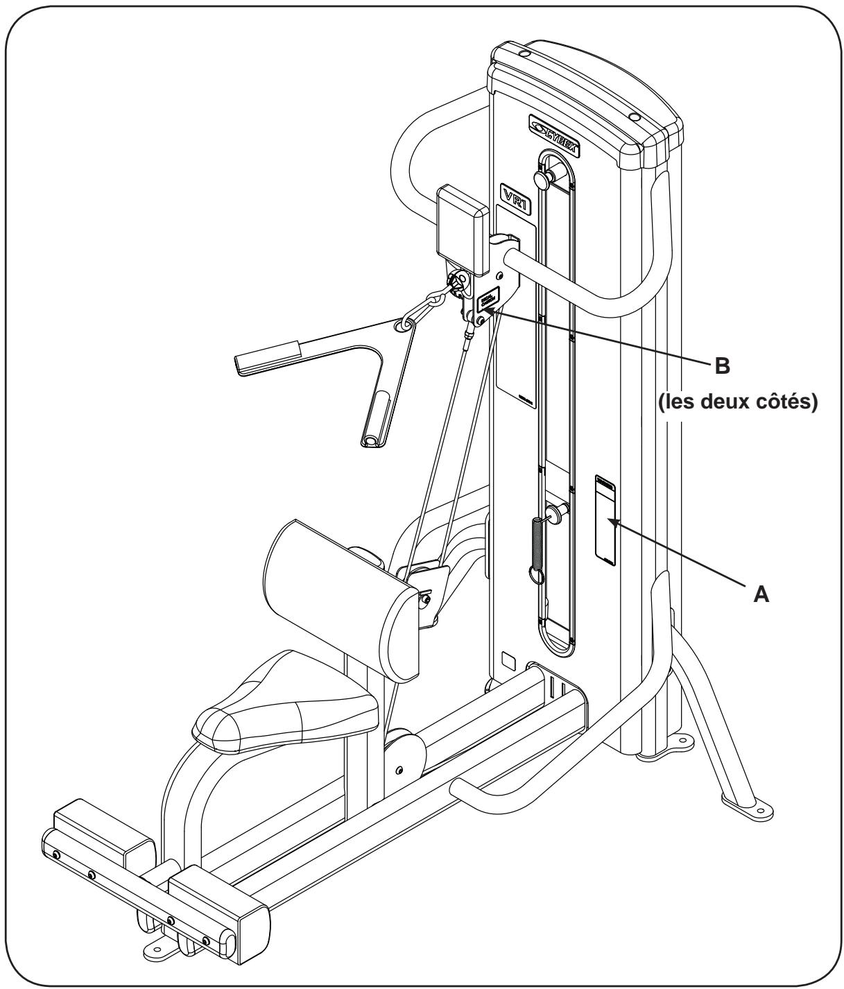 CYBEX INTERNATIONAL 13090 ABDOMINAL - Autocollants d'avertissement/mise en garde - 2