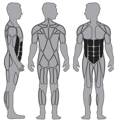 CYBEX INTERNATIONAL 13090 ABDOMINAL - Instructions - 1