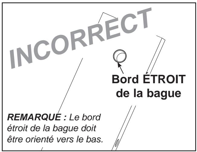 CYBEX INTERNATIONAL 13110 FLY-REAR DELT - Installation des plaques de poids. - 2