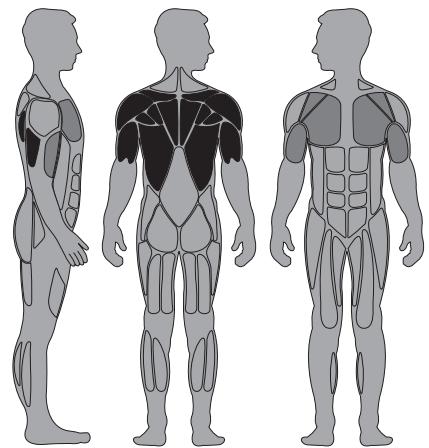 CYBEX INTERNATIONAL 13111 FLY-REAR DELT - Instructions - 1