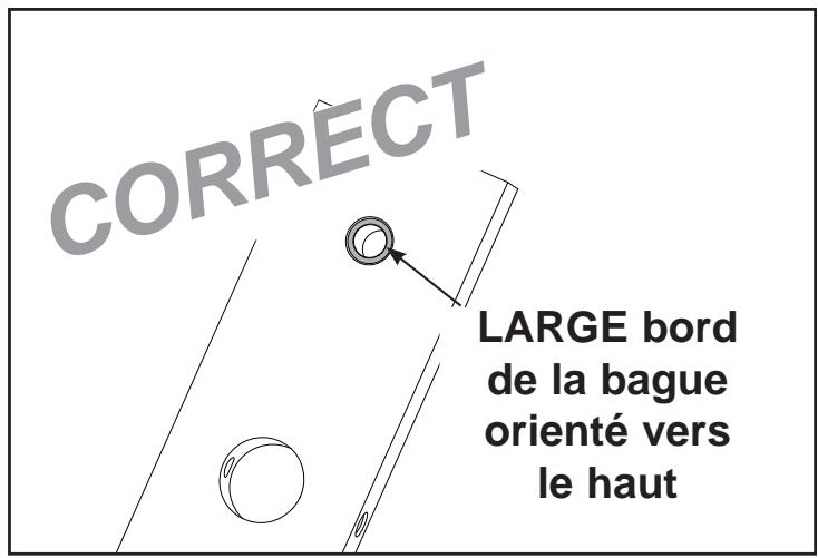 CYBEX INTERNATIONAL 13111 FLY-REAR DELT - Installation des plaques de poids. - 1