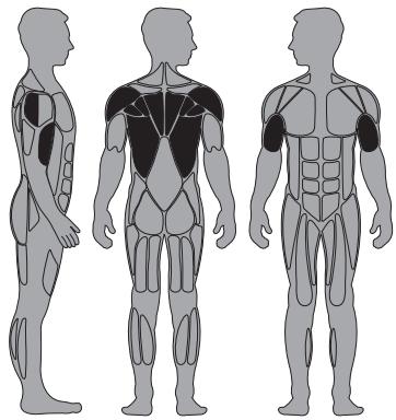 CYBEX INTERNATIONAL 13250 LAT-ROW - Instructions - 1