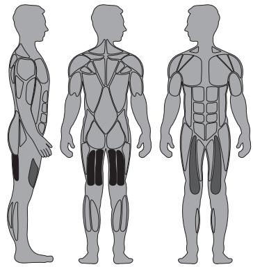 CYBEX INTERNATIONAL 13260 LEG EXT-LEG CURL - Instructions - 1