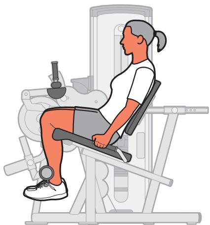 CYBEX INTERNATIONAL 13260 LEG EXT-LEG CURL - Instructions - 2