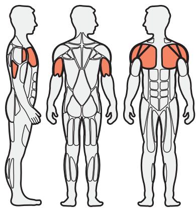 CYBEX INTERNATIONAL 16080 CHEST PRESS - Instructions - 1