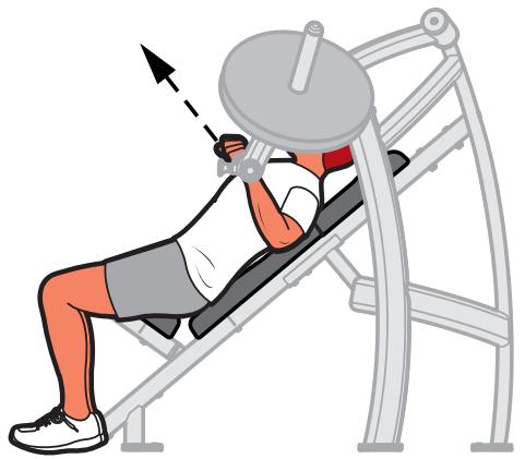 CYBEX INTERNATIONAL 16080 CHEST PRESS - Instructions - 2