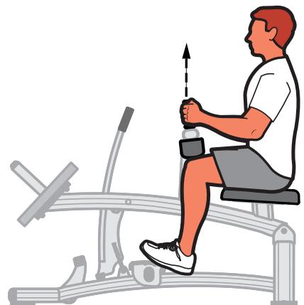 CYBEX INTERNATIONAL 16210 SEATED CALF - Instructions - 2