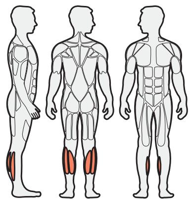CYBEX INTERNATIONAL 16210 SEATED CALF - Instructions - 1