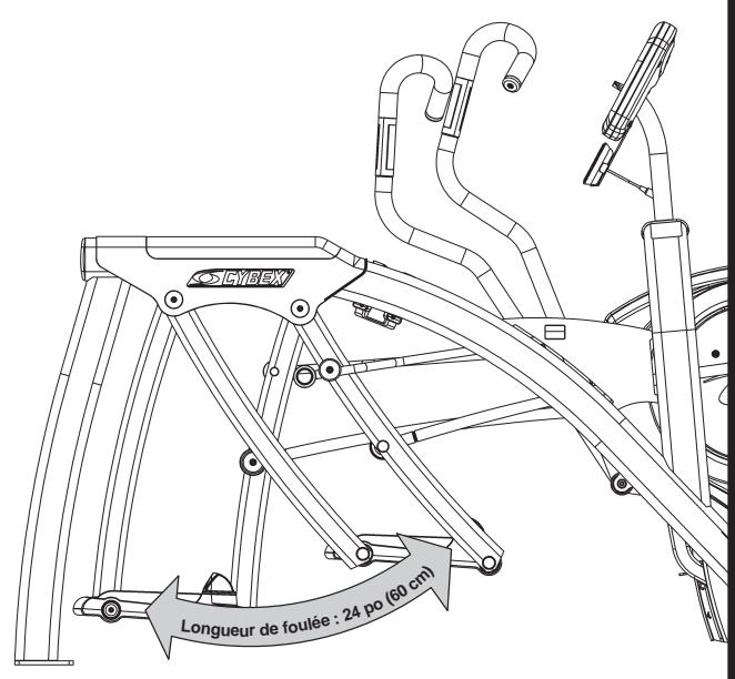 CYBEX INTERNATIONAL 630A ARC - Amplitude du mouvement - 3
