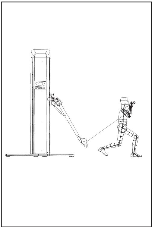 CYBEX INTERNATIONAL FT 360S - Développé squat divisé - 1