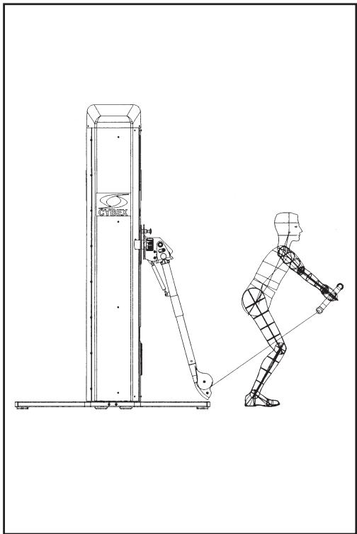CYBEX INTERNATIONAL FT 360S - Extension du dos et des épaules - 1