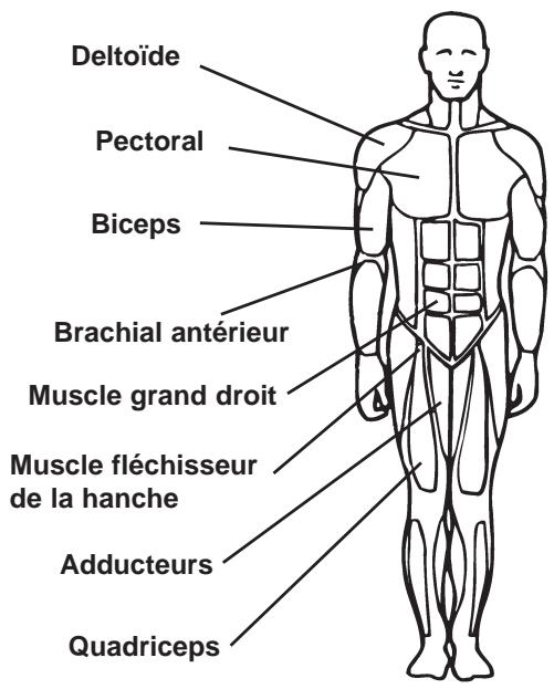 CYBEX INTERNATIONAL FT 360S - - Exercices - 3