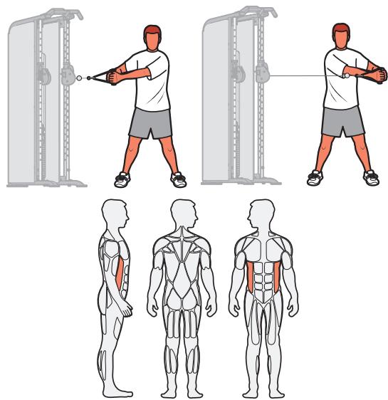 CYBEX INTERNATIONAL FT-325 - Muscles sollicités - 1