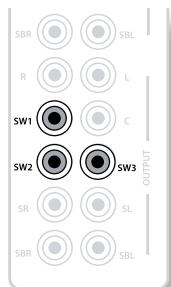 ARCAM AVR600 - Cables d'enceinte - 2