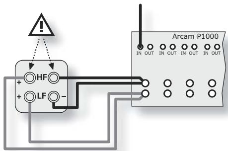 ARCAM DIVA P1000 - Bi-wiring - 1
