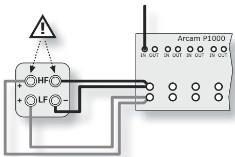 ARCAM DIVA P1000 - Bi-cablagem - 1