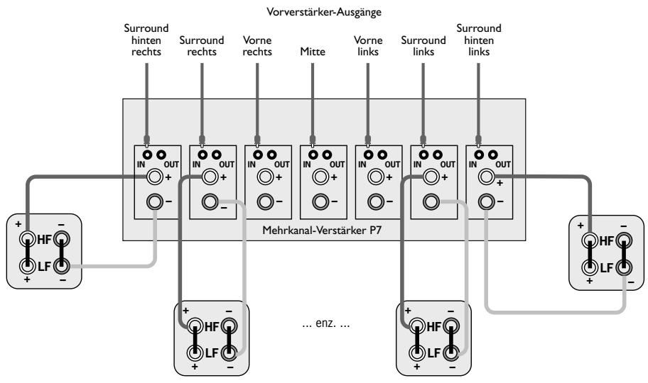 ARCAM FMJ P7 - 12VTRIGGER-EINGANG - 1