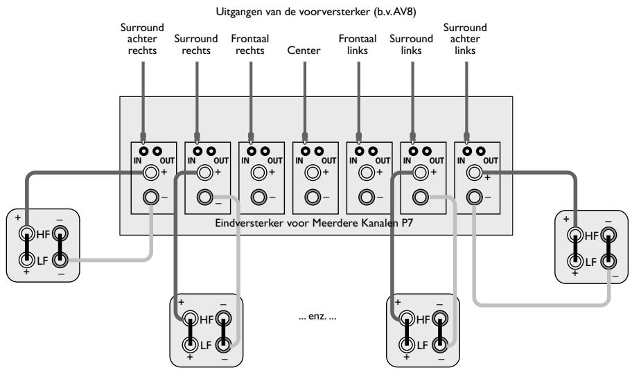 ARCAM FMJ P7 - 12VTRIGGER-INGANG - 1