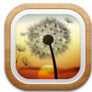 ACER ICONIA TAB W700P - clear.fi Photo - 1