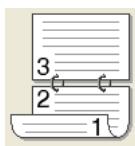 BROTHER HL-2250DN - Type de recto-verso - 4