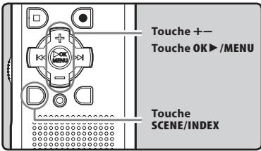OLYMPUS WS-650S - Modification de la plateforme de lecture [Lecture scène] - 1