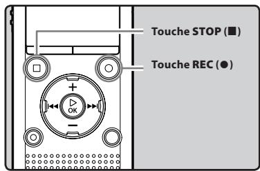 OLYMPUS WS-811 DNS - Enregistrement - 1