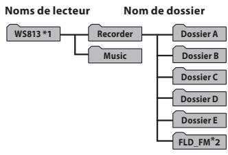 OLYMPUS WS-811 DNS - Macintosh - 1