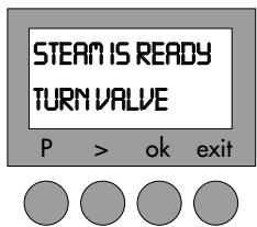 MAGIMIX 11403 - Steam - 6