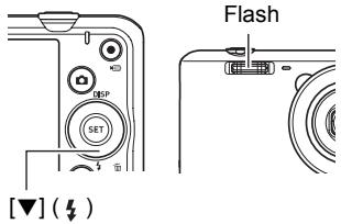 CASIO EXILIM EX-ZS20 - Utilisation du flash (Flash) - 1