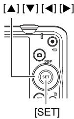 CASIO EXILIM EX-ZS20 - Exemple de fonctionnement du menu REC - 1
