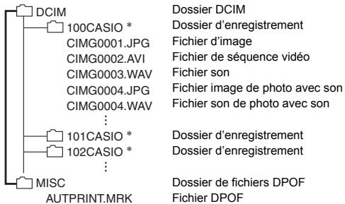 CASIO ZS100 - Structure des dossiers de la mémoire - 1
