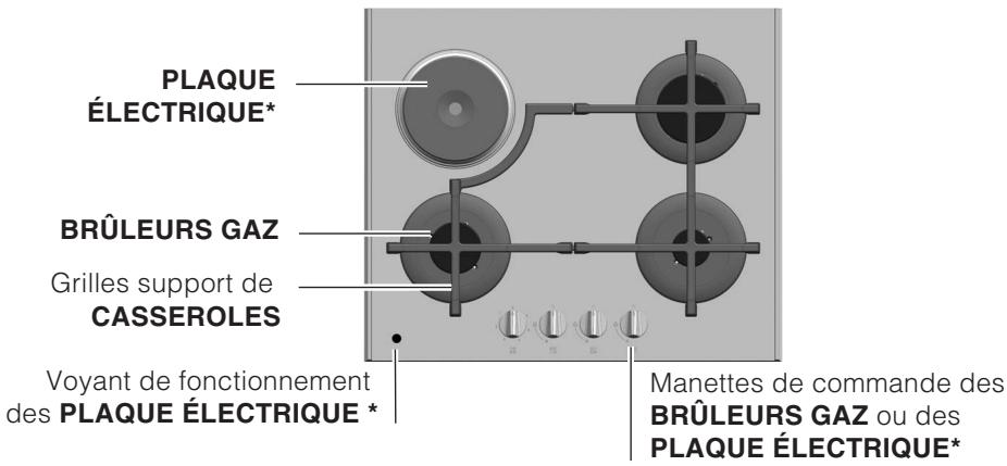SCHOLTES TV750(BK)GH - Vue d'ensemble - 1