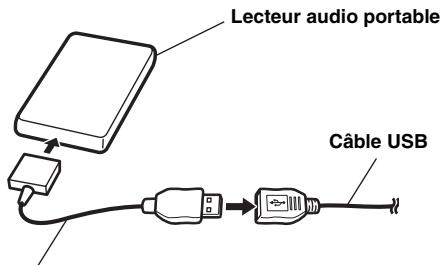 ALPINE IDA-X311 - Raccordement d'un lecteur audio portable - 1