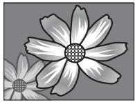 FUJIFILM FINEPIX XP170 - Conseils avances - 3