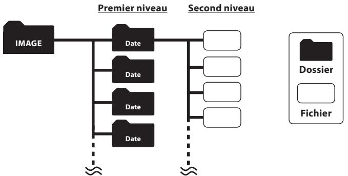 OLYMPUS DM-3 - A propos du dossier pour les images - 1