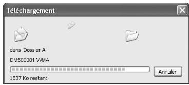 OLYMPUS DM-3 - Téléchargement acheve. - 1