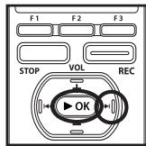 OLYMPUS DM-3 - Visualisation des images - 7