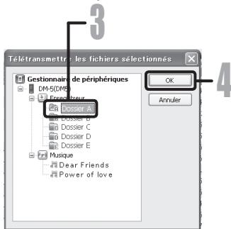 OLYMPUS DM-3 - Remarques - 3