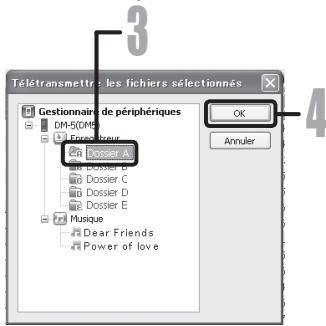 OLYMPUS DM-670 - Remarques - 3