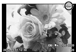 OLYMPUS OM-D E-M5 - Protection des images - 1