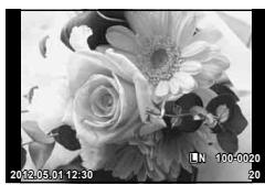 OLYMPUS OM-D E-M5 - ■ Affichage d'une seule image - 1