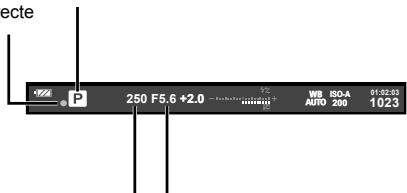 OLYMPUS OM-D E-M5 - Cadrage d'images sur le viseur - 1