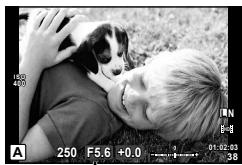 OLYMPUS OM-D E-M5 - Choix de l'ouverture (mode priorité ouverture A) - 1