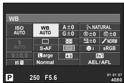 OLYMPUS OM-D E-M5 - Ajustement de la couleur (balance des blancs) - 1