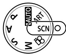 OLYMPUS OM-D E-M5 - Prise de vue pour un panoramaque - 1