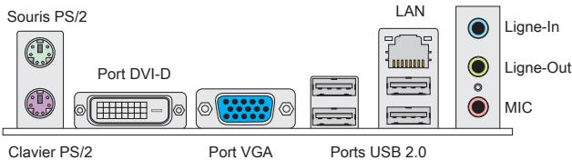 MSI C847IS-P33 - PANNEAU ARRIÈRE - 1