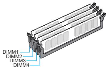 MSI Z87M-G43 - Règle de population en mode double canal - 2