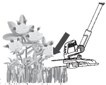 MAC ALLISTER MGT600 - Uso del protector para flores - 1