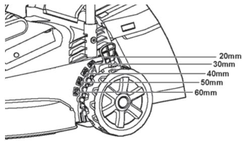 MAC ALLISTER MLM1200 - Réglage de la hauteur de coupe - 1
